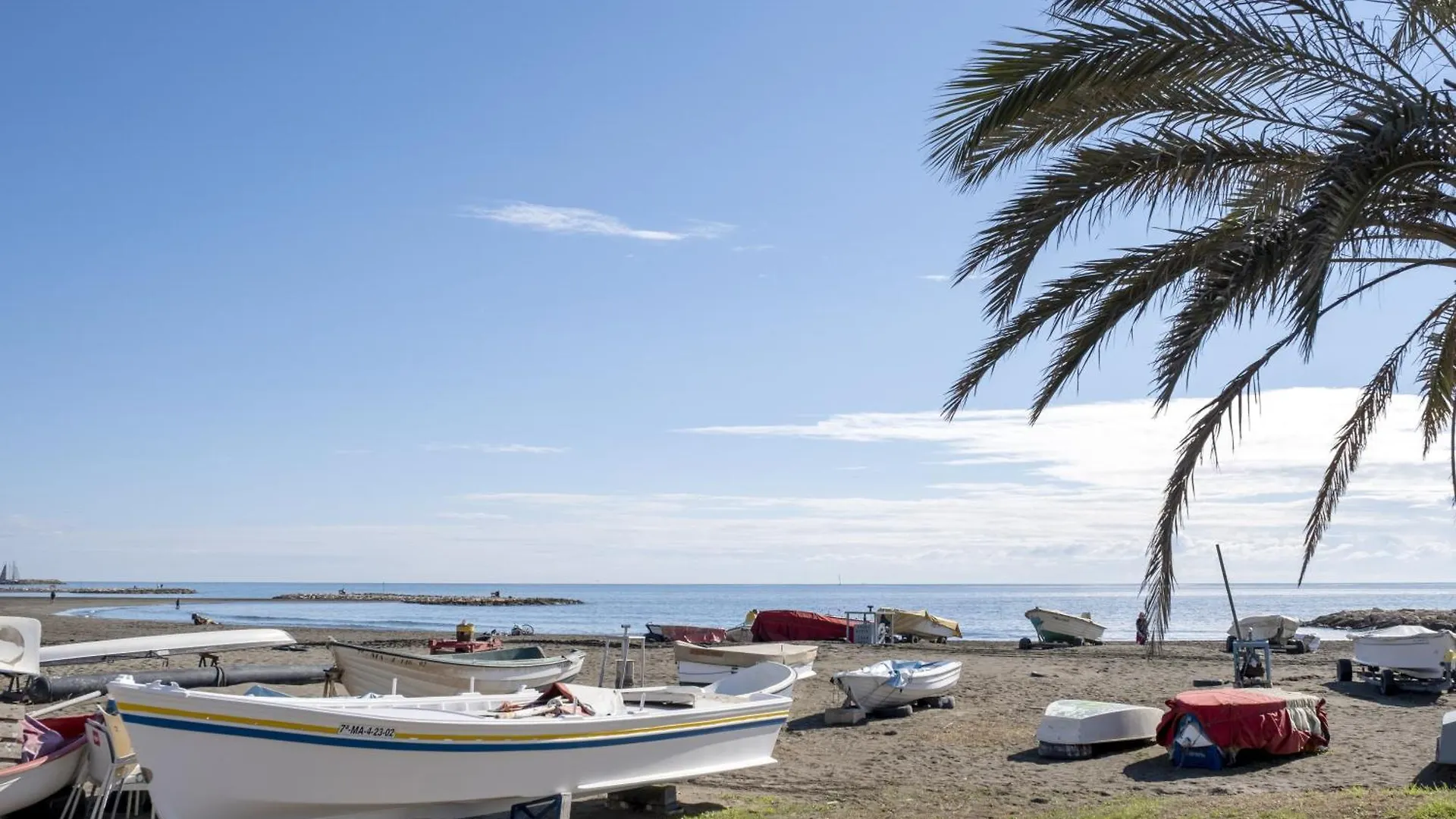 Astilla De Palo A La Orilla Del Mar Malaga